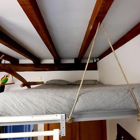 Apartamento La Casa Del árbol *