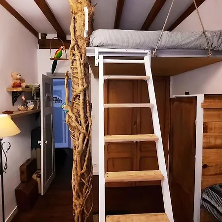La Casa Del Arbol San Sebastian