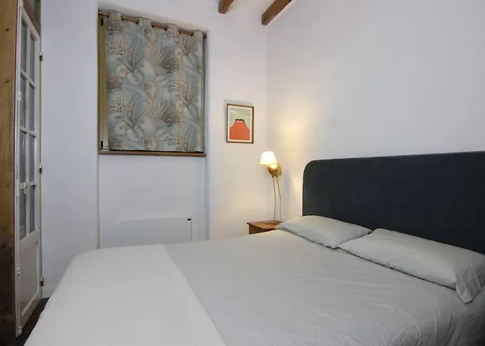 La Casa Del Arbol Apartment San Sebastian