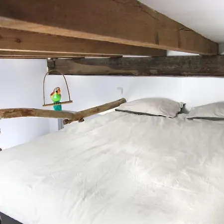 La Casa Del árbol *